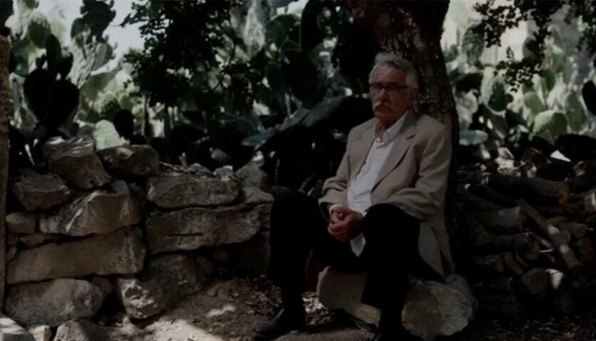 'Kesilmiş Bir Ağaç Gibi' Oscar yolunda